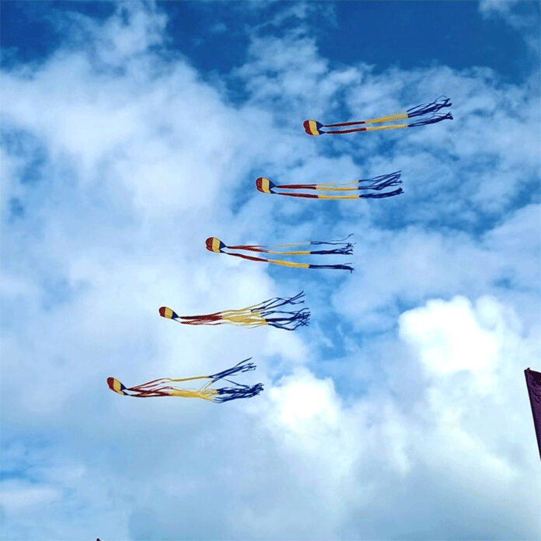 kite3
