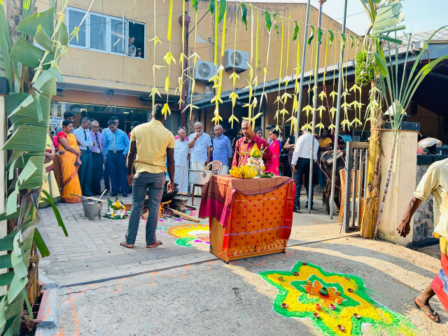 Taipongal - 2026